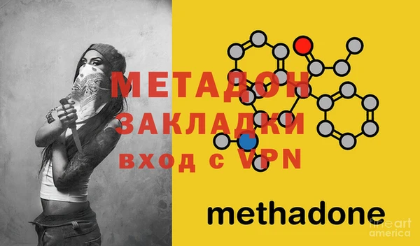 прущие грибы Михайлов