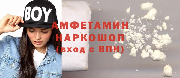 прущие грибы Михайлов