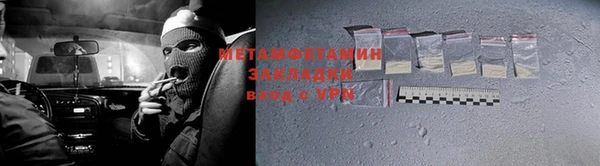 прущие грибы Надым