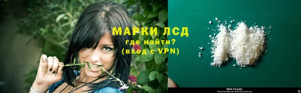 прущие грибы Михайлов
