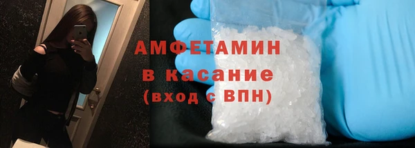 прущие грибы Надым
