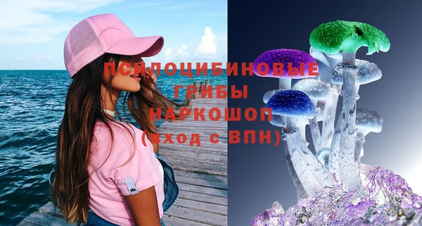 гидропоника Богданович