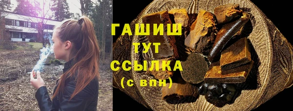 прущие грибы Михайлов