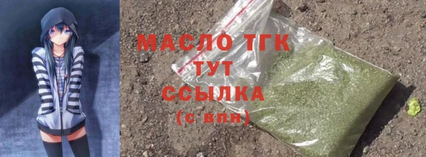 прущие грибы Надым