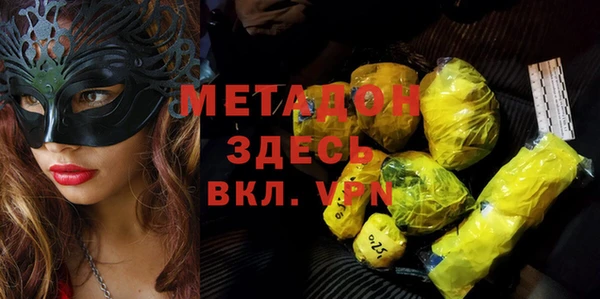 прущие грибы Надым