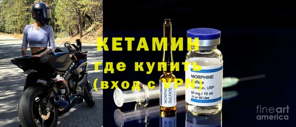 прущие грибы Михайлов