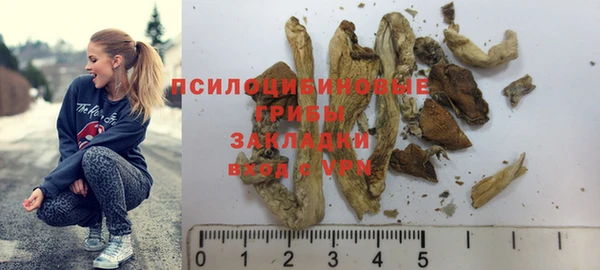 ALPHA PVP Богородицк