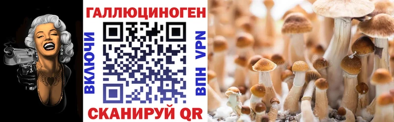 Галлюциногенные грибы мухоморы  Касимов 