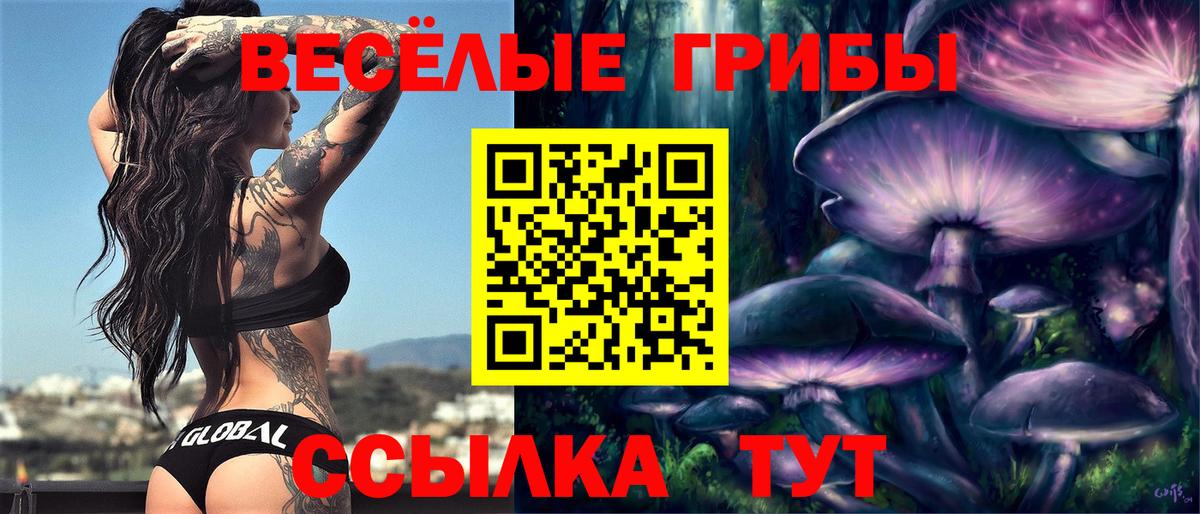 Галлюциногенные грибы Psilocybe Касимов