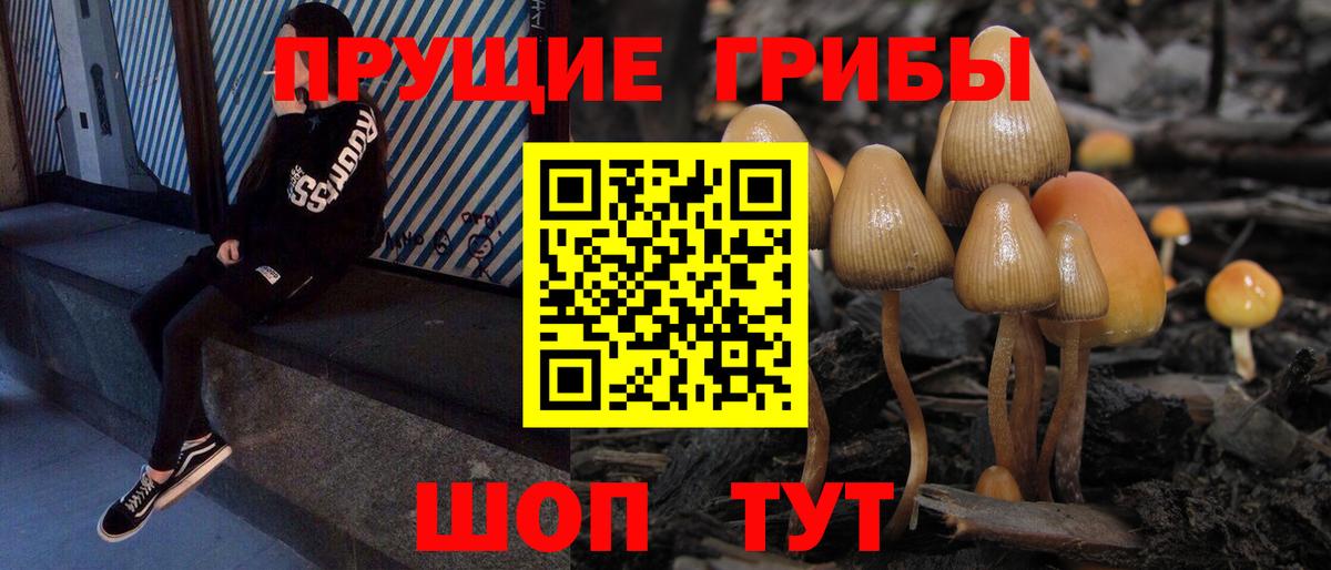 Галлюциногенные грибы Psilocybe  Вход с VPN  Касимов 
