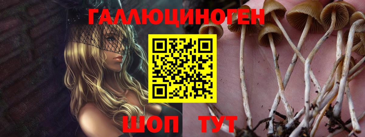 Галлюциногенные грибы мухоморы  Касимов 